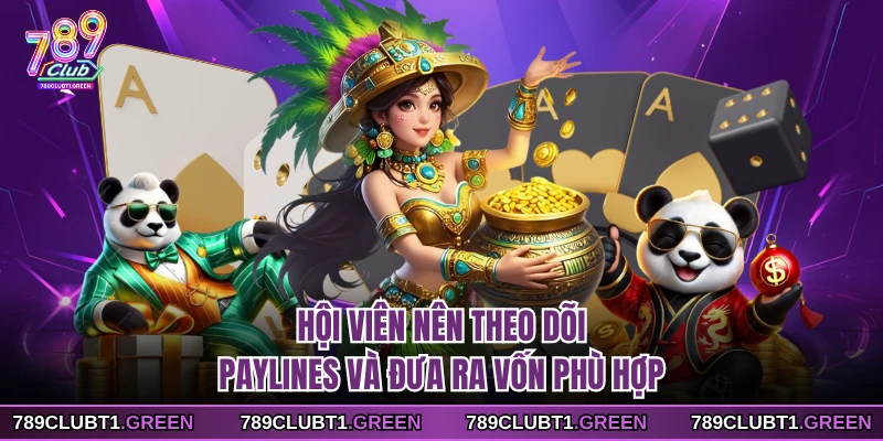 Hội viên nên theo dõi paylines và đưa ra vốn phù hợp